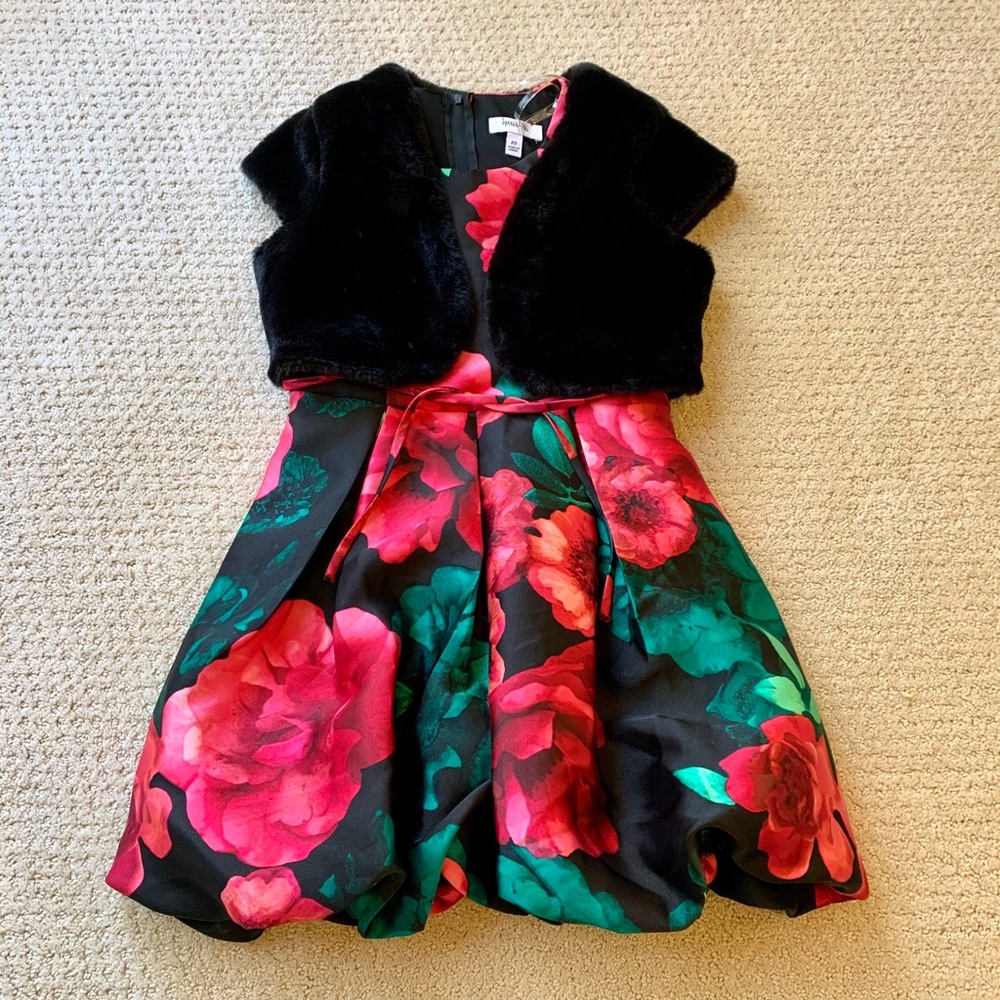 Girls’ Holiday or Spring dress